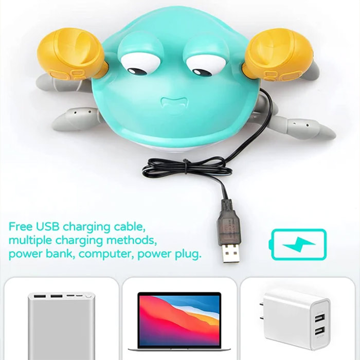 CrawlingCrab-2.jpg