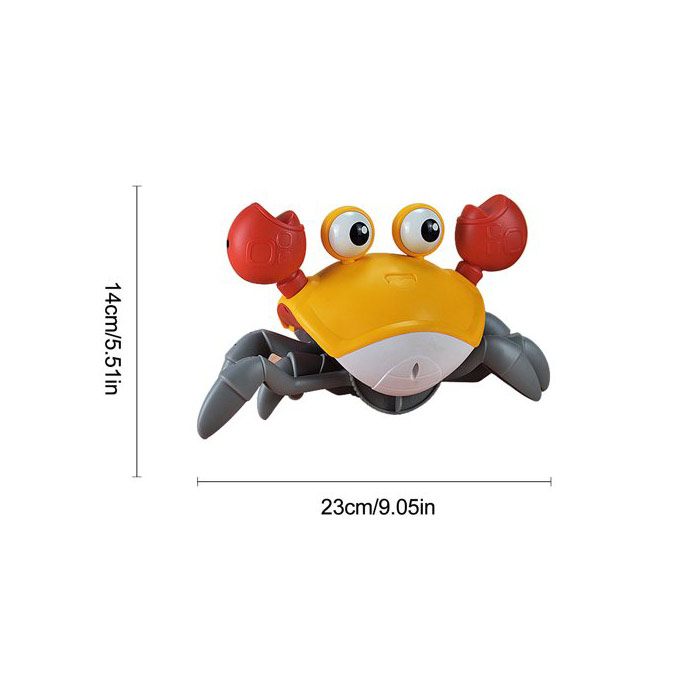 CrawlingCrab-9.jpg
